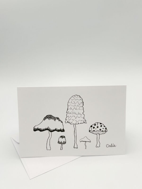 champignons