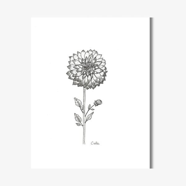 dahlia (2)