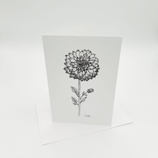 dahlia