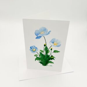 pavots bleus (1)