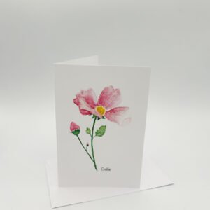 rose (1)